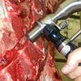 SLACHTTECHNIEK infood benelux 8 beenmerg SLACHTTECHNIEK infood benelux 8 beenmerg image