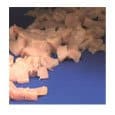 SLICEN & PORTIONEREN SLICERS PORTIONEERMACHINES infood benelux 5 SLICEN & PORTIONEREN SLICERS PORTIONEERMACHINES infood benelux 5 image